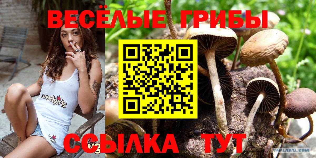Галлюциногенные грибы мицелий Борисоглебск